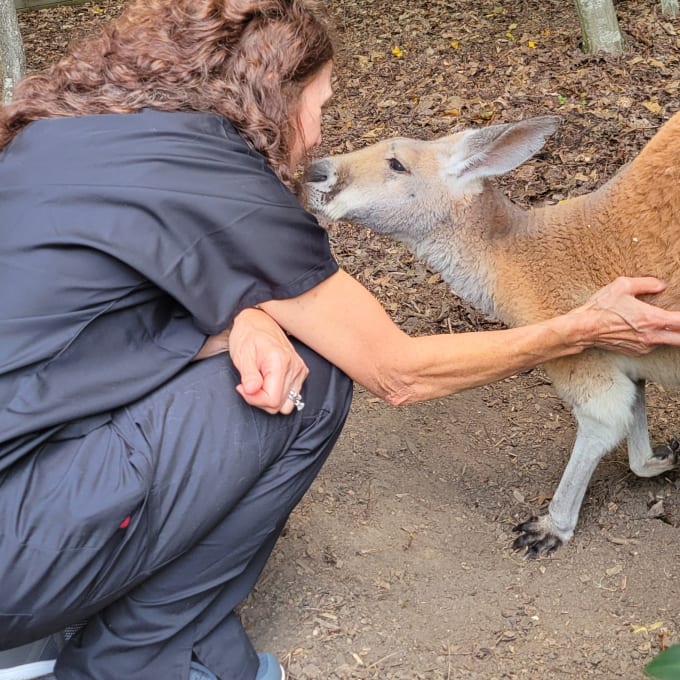 Dr. Allison Sarno, South Salem Veterinarian